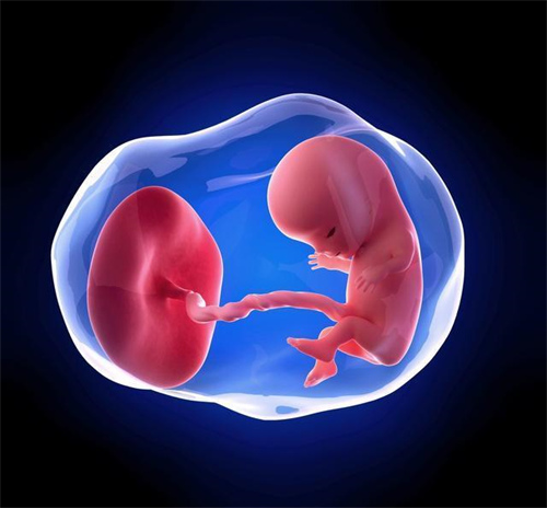 菏泽供卵试管助孕医院排名-2022年湖北三代试管婴儿供卵医院排名与卵源等待时间和费用。